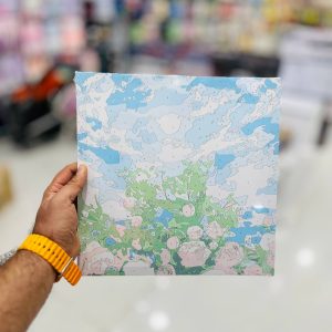 عکس رنگ آمیزی با اعداد سایز 30 در 30 مدل بوم دار کد CL2216 - شماره 14
