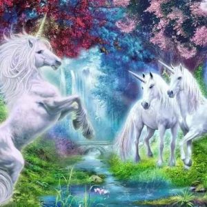 عکس نقاشی الماسی طرح بزرگسال 40در50 کد T38 - شماره 4