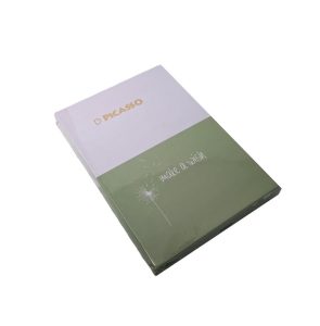 عکس دفتر یادداشت کلاسوری 6 حلقه پیکاسو PICASSO رنگ یاسی سبز WAKE A WISH کد 802912 (سایز 10 در 15) - شماره 3